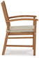 Janiyah Arm Chair (2/CN)